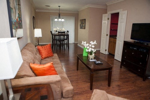 Living Room with Upscale Furniture at The Diplomat of Jackson Apartment Homes, Jackson, MS, 39211